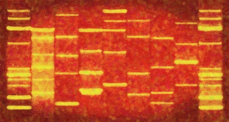 DNA artwork painting on canvas from DNA Art Paintings. Image from DNAartonline.com .