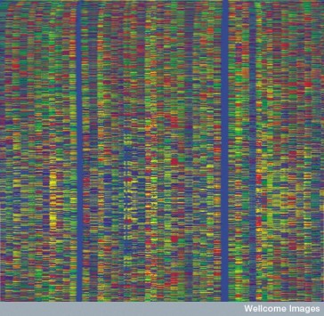 Automated DNA sequencing output. Credit: The Sanger Institute. Wellcome Images.